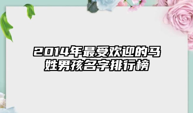 2014年最受欢迎的马姓男孩名字排行榜