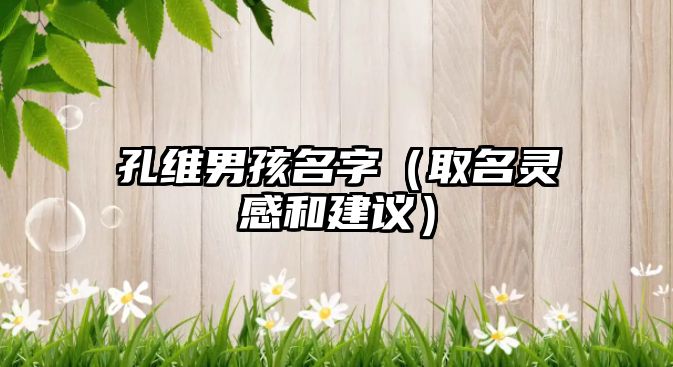 孔维男孩名字（取名灵感和建议）
