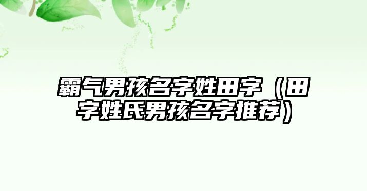 霸气男孩名字姓田字（田字姓氏男孩名字推荐）