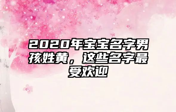 2020年宝宝名字男孩姓黄，这些名字最受欢迎