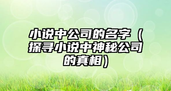 小说中公司的名字（探寻小说中神秘公司的真相）