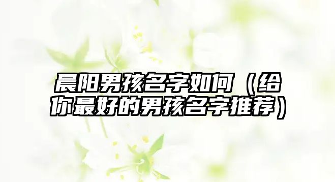 晨阳男孩名字如何（给你最好的男孩名字推荐）