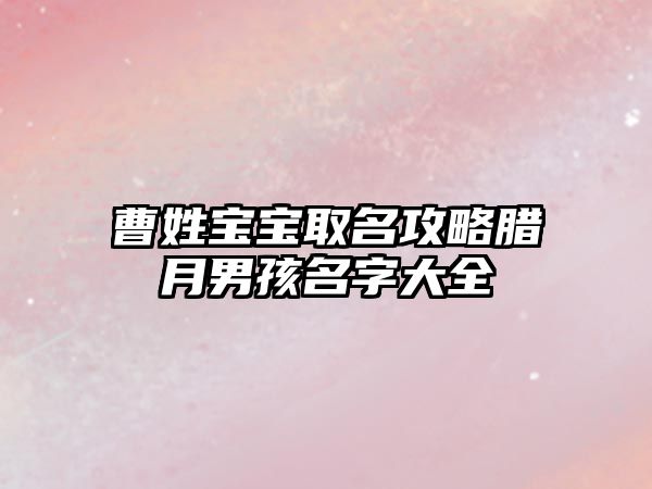 曹姓宝宝取名攻略腊月男孩名字大全