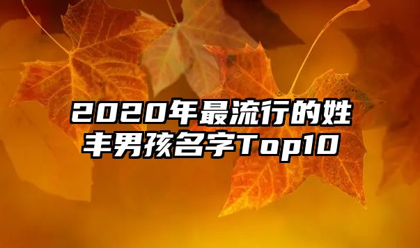 2020年最流行的姓丰男孩名字Top10