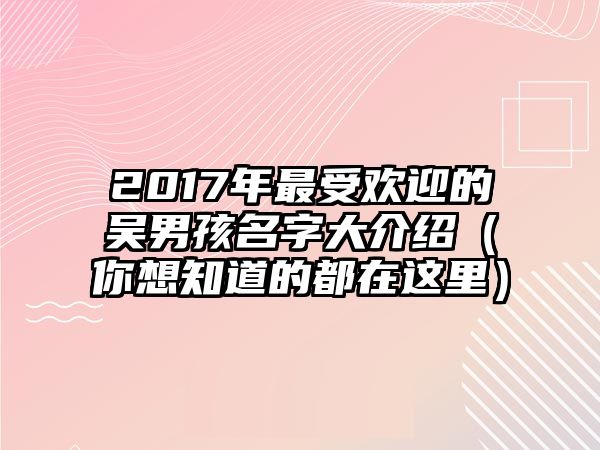 2017年最受欢迎的吴男孩名字大介绍（你想知道的都在这里）