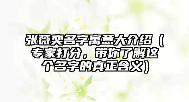 张薇奕名字寓意大介绍（专家打分，带你了解这个名字的真正含义）