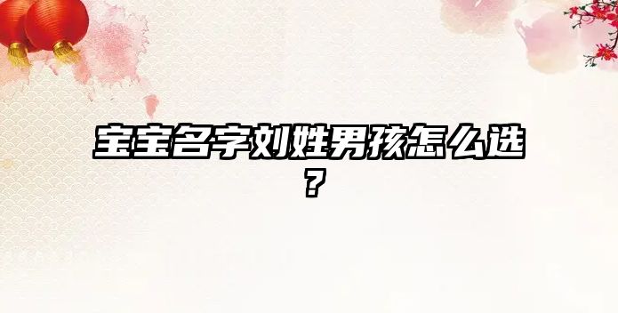 宝宝名字刘姓男孩怎么选？