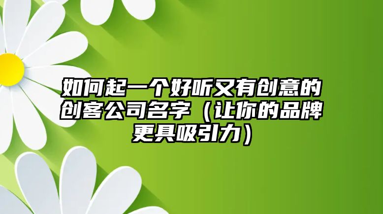 如何起一个好听又有创意的创客公司名字（让你的品牌更具吸引力）
