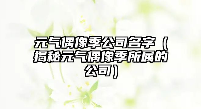 元气偶像季公司名字（揭秘元气偶像季所属的公司）