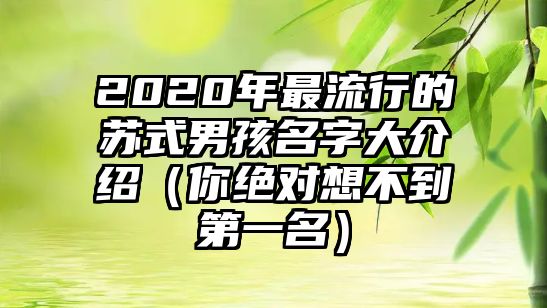 2020年最流行的苏式男孩名字大介绍（你绝对想不到第一名）