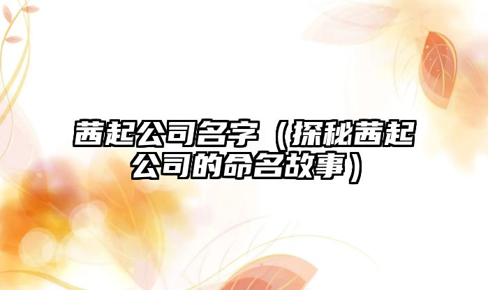 茜起公司名字（探秘茜起公司的命名故事）