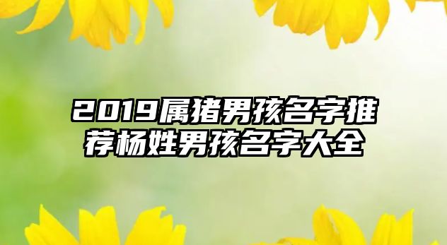 2019属猪男孩名字推荐杨姓男孩名字大全