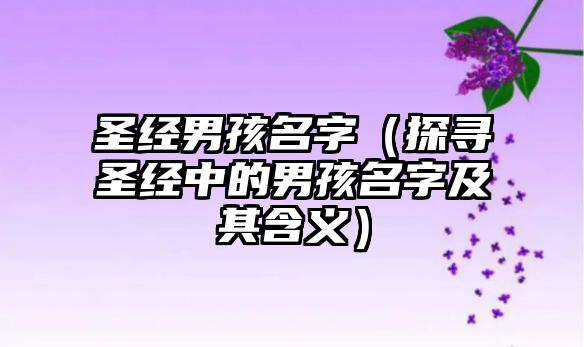 圣经男孩名字（探寻圣经中的男孩名字及其含义）