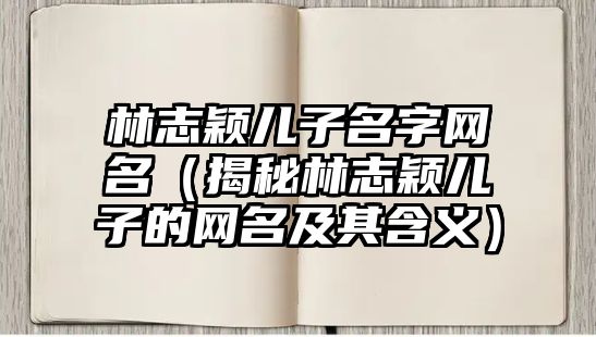 林志颖儿子名字网名（揭秘林志颖儿子的网名及其含义）