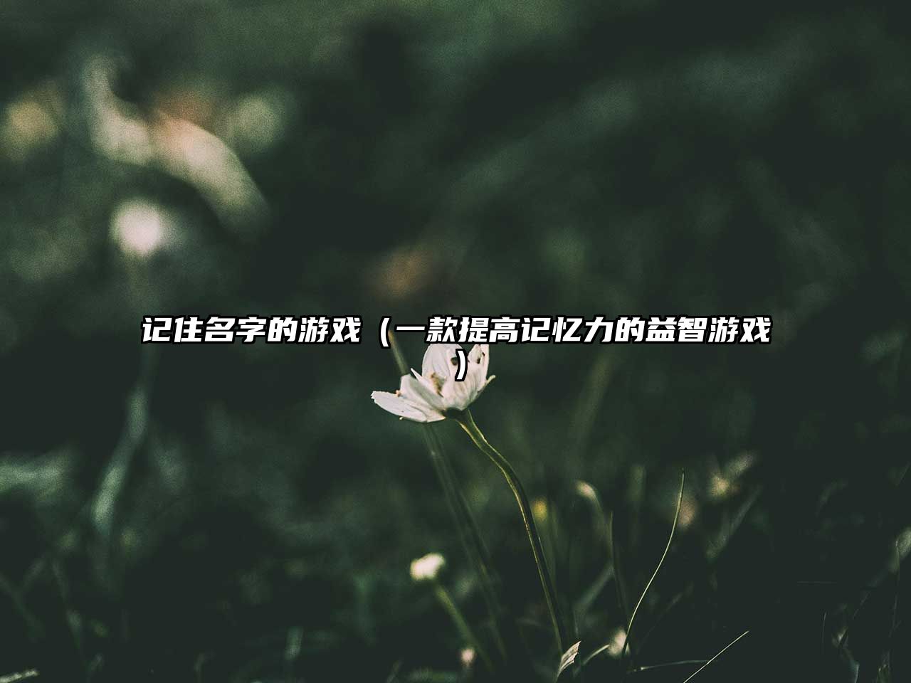 记住名字的游戏（一款提高记忆力的益智游戏）