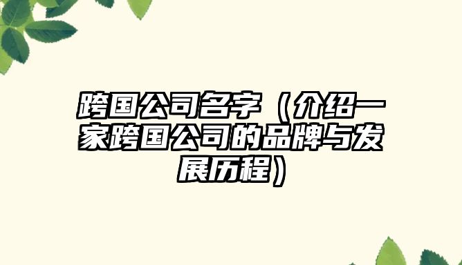 跨国公司名字（介绍一家跨国公司的品牌与发展历程）