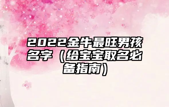 2022金牛最旺男孩名字（给宝宝取名必备指南）