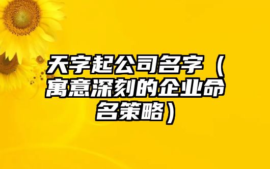 天字起公司名字（寓意深刻的企业命名策略）