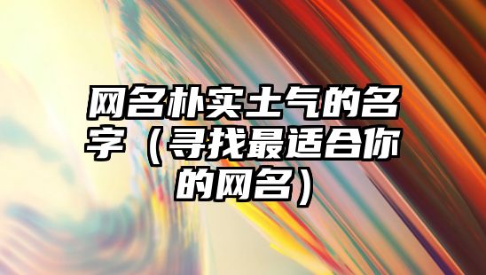 网名朴实土气的名字（寻找最适合你的网名）