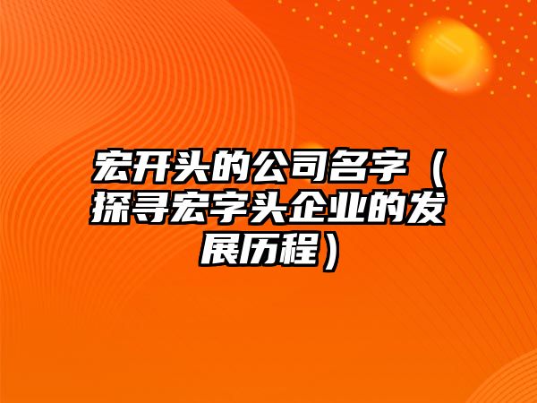 宏开头的公司名字（探寻宏字头企业的发展历程）