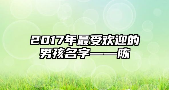 2017年最受欢迎的男孩名字——陈