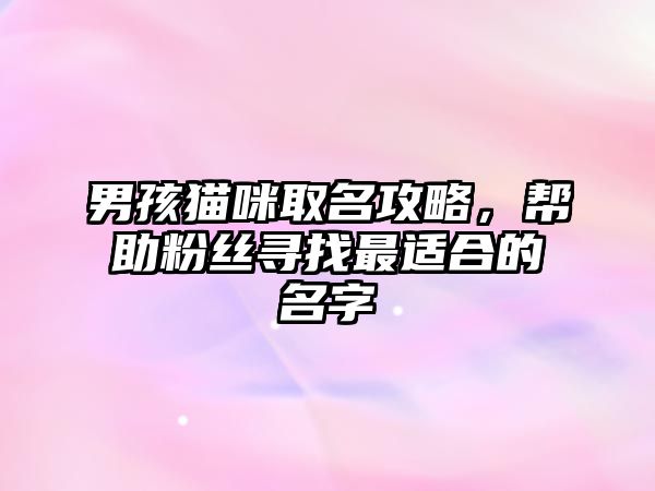 男孩猫咪取名攻略，帮助粉丝寻找最适合的名字