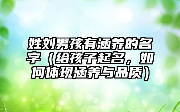 姓刘男孩有涵养的名字（给孩子起名，如何体现涵养与品质）