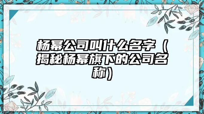 杨幂公司叫什么名字（揭秘杨幂旗下的公司名称）