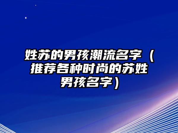 姓苏的男孩潮流名字（推荐各种时尚的苏姓男孩名字）