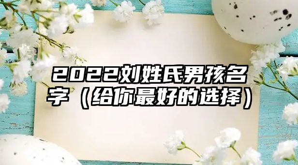 2022刘姓氏男孩名字（给你最好的选择）