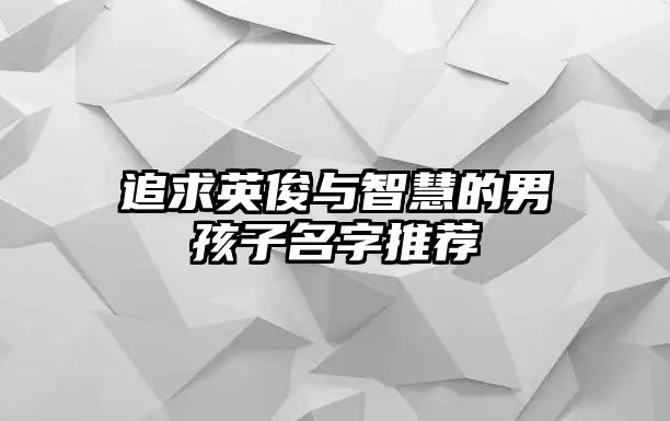 追求英俊与智慧的男孩子名字推荐