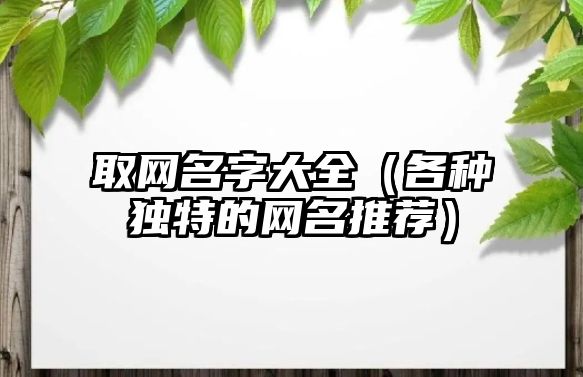 取网名字大全（各种独特的网名推荐）