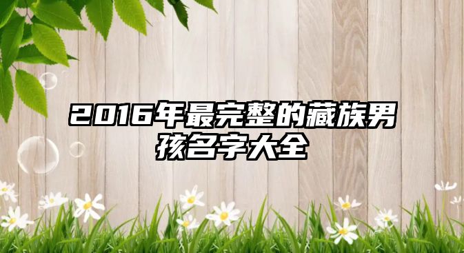 2016年最完整的藏族男孩名字大全