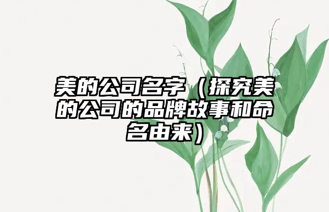 美的公司名字（探究美的公司的品牌故事和命名由来）