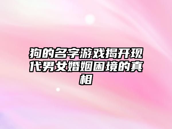 狗的名字游戏揭开现代男女婚姻困境的真相