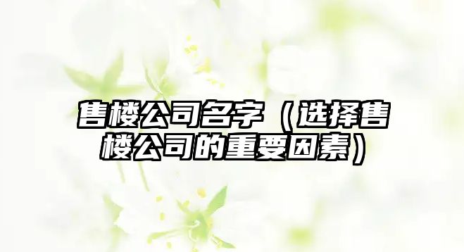 售楼公司名字（选择售楼公司的重要因素）