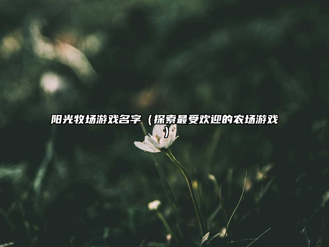 阳光牧场游戏名字（探索最受欢迎的农场游戏）