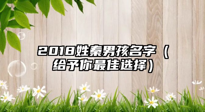 2018姓秦男孩名字（给予你最佳选择）