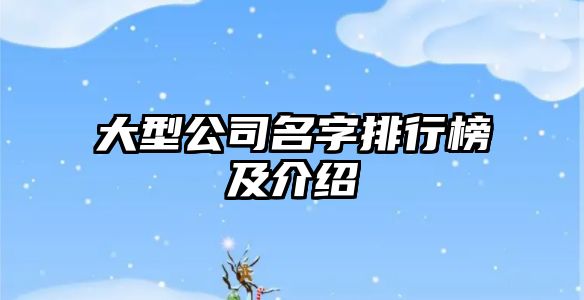 大型公司名字排行榜及介绍
