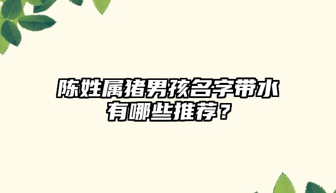 陈姓属猪男孩名字带水有哪些推荐？