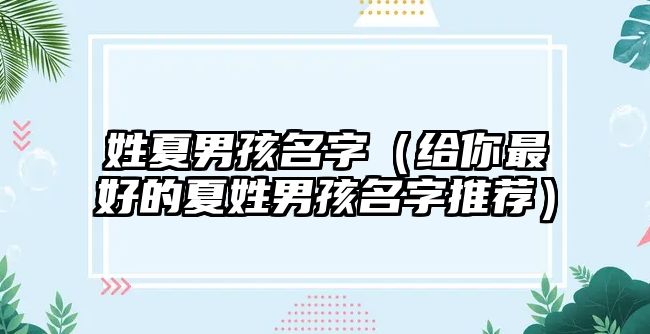 姓夏男孩名字（给你最好的夏姓男孩名字推荐）