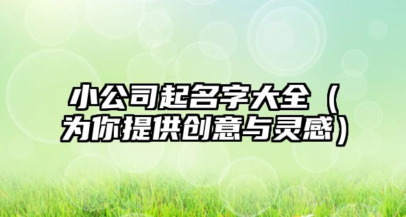 小公司起名字大全（为你提供创意与灵感）