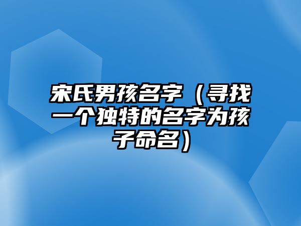 宋氏男孩名字（寻找一个独特的名字为孩子命名）