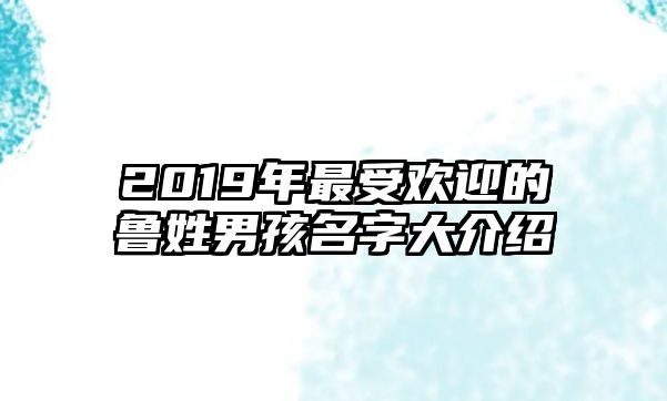 2019年最受欢迎的鲁姓男孩名字大介绍