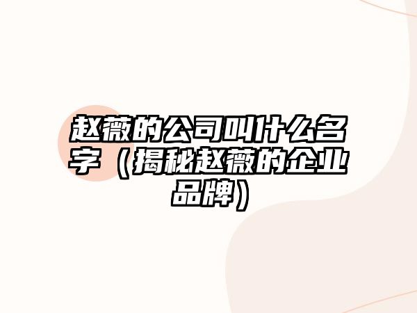 赵薇的公司叫什么名字（揭秘赵薇的企业品牌）