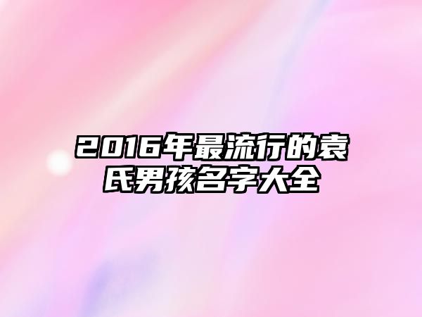 2016年最流行的袁氏男孩名字大全