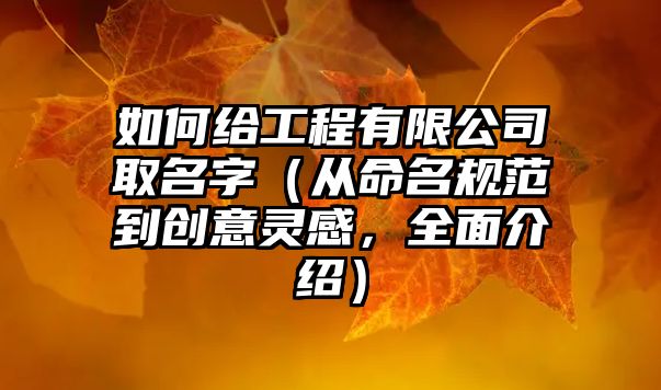 如何给工程有限公司取名字（从命名规范到创意灵感，全面介绍）