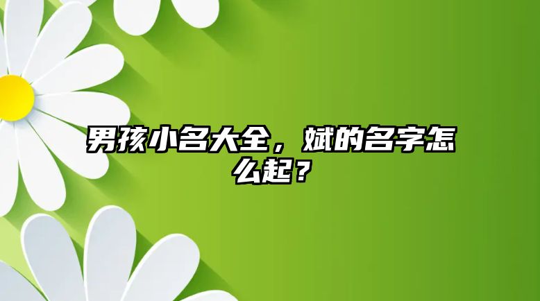 男孩小名大全，斌的名字怎么起？