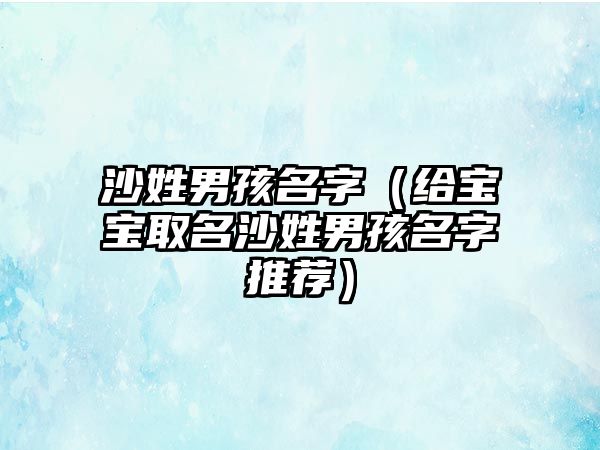 沙姓男孩名字（给宝宝取名沙姓男孩名字推荐）