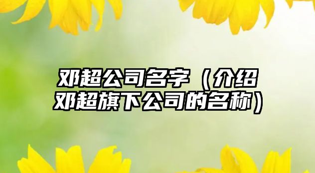 邓超公司名字（介绍邓超旗下公司的名称）